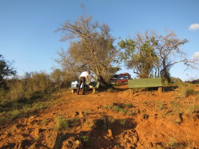 Waiting for the leopards