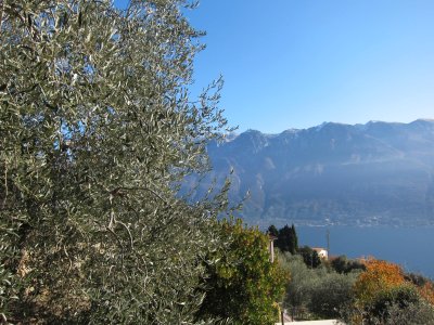 Tignale