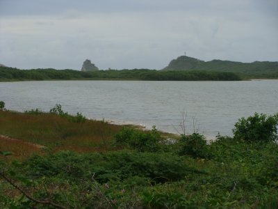 Pointe des Châteaux vue des Salines