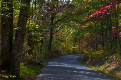 On an Autumn Road