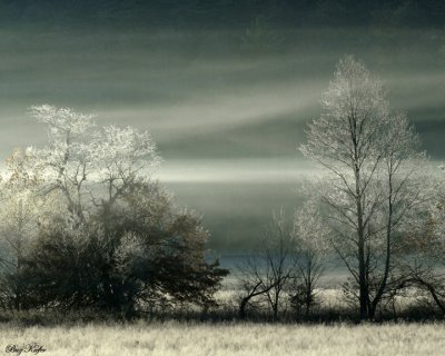 Morning Fog and Frost