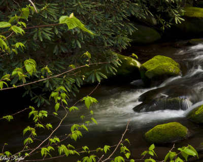 Small Drop on Roaring Forks II