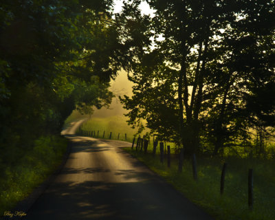 Morning Lane in Summer
