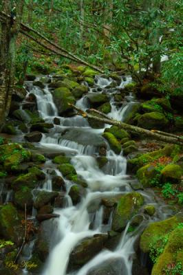A Small Stream in North Carolina