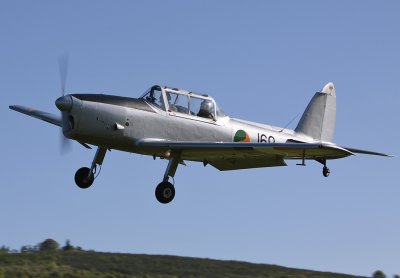 Irish 169