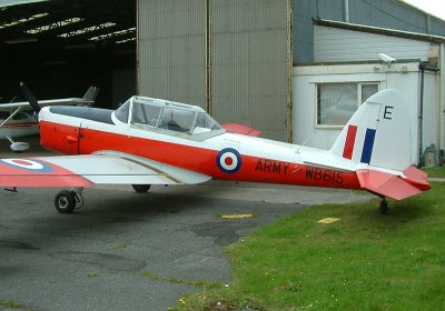 Chipmunk1.jpg