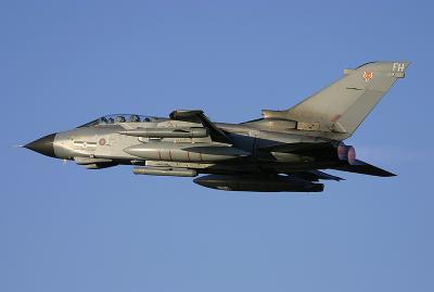 LEU08.jpg