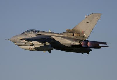 LEU11.jpg