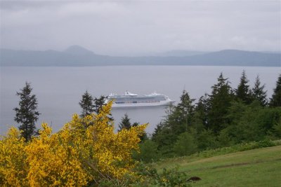g4/42/484642/3/65174641.AF1my8SH.jpg