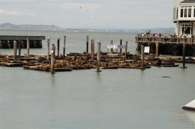 DSC_3841.JPG
