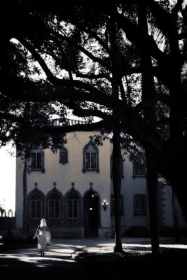 Sarasota Ringling Musuem and Ca d zan wedding photography