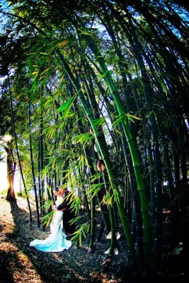 Sarasota Ringling Musuem and Ca d zan wedding photography