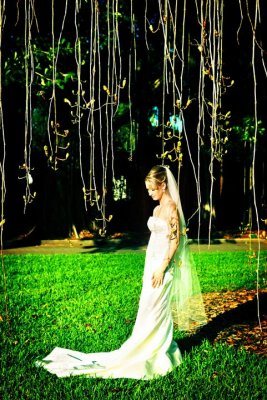 Sarasota Ringling Musuem and Ca d zan wedding photography