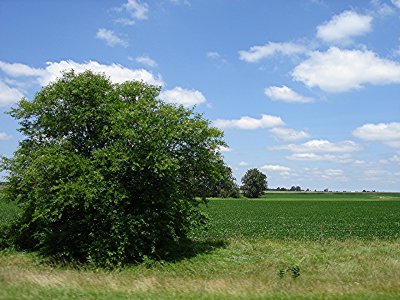 DSC00283.JPG