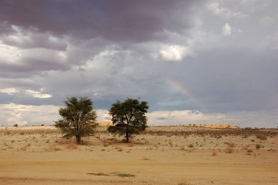 Desert rainbow