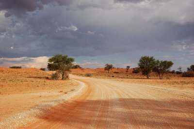 Desert road 3.