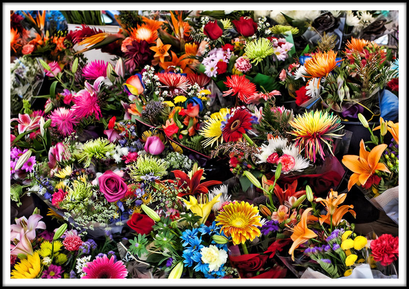 Des fleurs de bord  bord