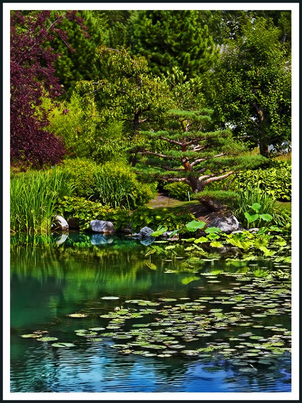 la srnit au Jardin de Chine