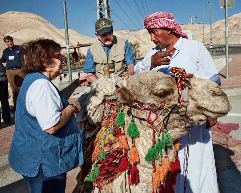 _MG_9647-westbank-camel.jpg