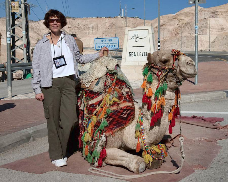 _MG_9693-westbank-camel.jpg