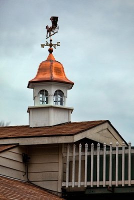 _MG_9509.jpg
