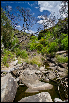 Ravine des Casoars
