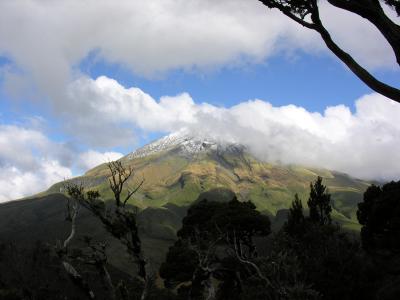 Taranaki 4