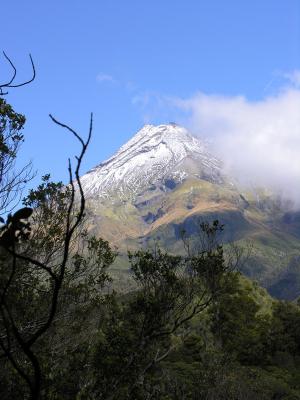 Taranaki 5