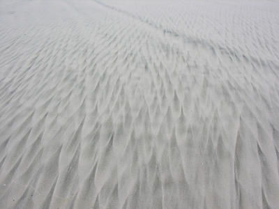 Pakiri Beach - sand pattern
