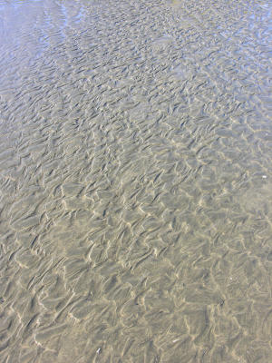 Te Henga - sand pattern1