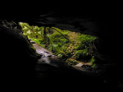 Waipu Caves1