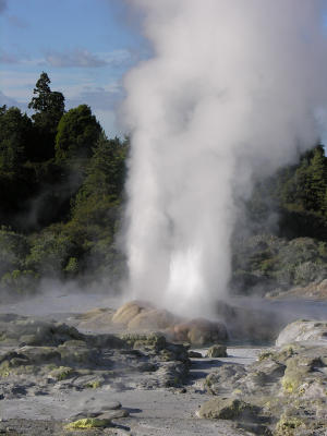 Te Puia - Pohutu geyser2.JPG