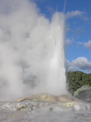 Te Puia - Pohutu geyser3.JPG