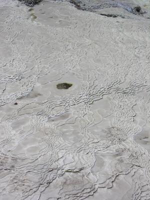 Wai-o-tapu - silica terrace.JPG