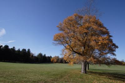 Princeton Battlefield State Park