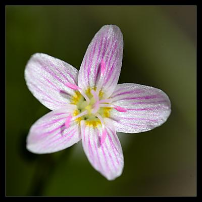 g4/42/526042/3/59586510.OU4S7490.jpg