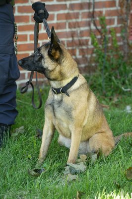 _DSC9996.jpg