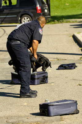 Police Service Dogs -- Narcotics Search