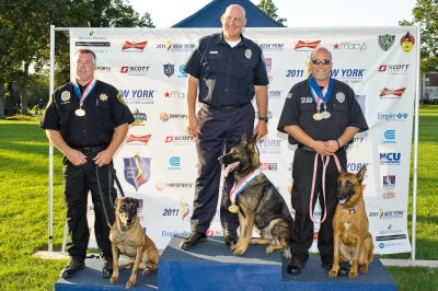 Police Service Dogs -- Obedience, Agility, Box Search, Protection