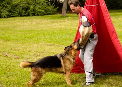 DSC_8784.jpg
