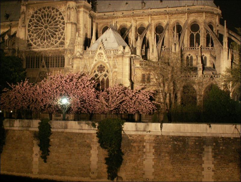 Notre-Dame, les coulisses.