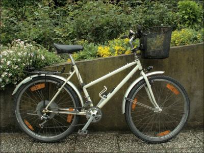 L'ancien vélo de Madame (VTT Lugano, acier)
