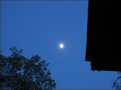 Lune bientt pleine dans son ciel bleu.