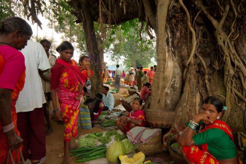 Bastar - Chhattisgarh - India