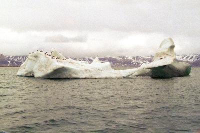 g4/42/555942/3/135390240.XxId8sWw.jpg