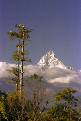 Annapurna - Nepal