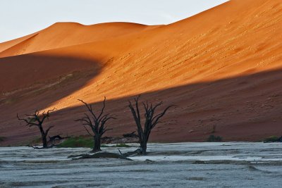 Dead Vlei - Namibia