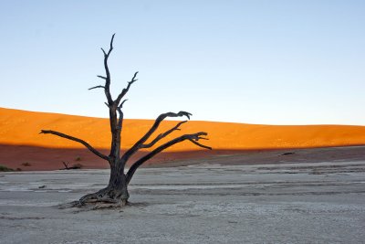 Dead Vlei