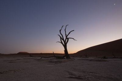 Dead Vlei