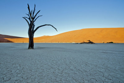 Dead Vlei